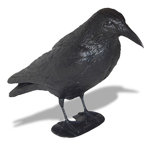 Cuervo Raven Ahuyenta Espanta Palomas Plástico Reforzado