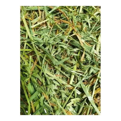 5kg De Heno De Avena Orgánica Para Cuyo Y Conejo | Envío gratis