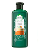 Shampoo Aloe Y Mango Protege Y Repara 400ml Herbal Essences