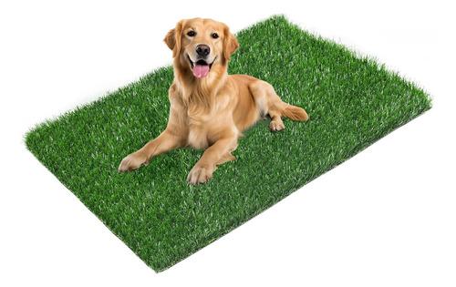 Almohadillas De Entrenamiento Para Cachorros De Césped