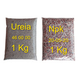 Kit Adubo Fertilizante Npk 20 05 20 + Ureia  1 Kg Cada