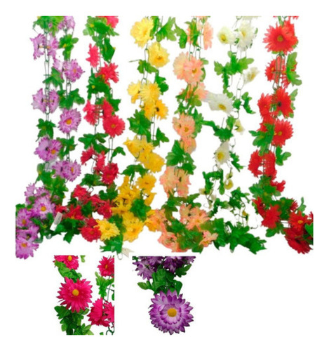 Enredaderas Rosas Flores  Decoración Jardines Exteriores