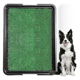 Sanitário Canino Banheiro Para Cães Com Grama Eco Pet