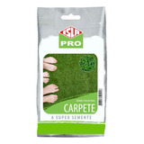 Sementes De Grama Carpete Folha Fina Pacote 100g Isla