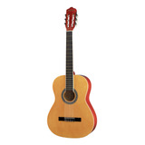 Guitarra Woodsoul L-l39 Tilo/techwood