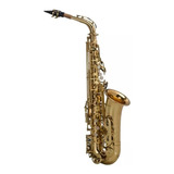 Sax Alto Shelter Sft6430l Laqueado Dourado Com Case