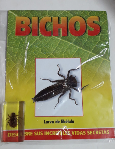 Bichos - Larva De Libelula  + Fasciculo -  Rba
