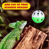 12 Pcs Bearded Dragon Toys Reptile Toy Bell Balls Reptile Ta