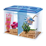 Bettera Doble 1.5 Lts Acuario Peces Betta