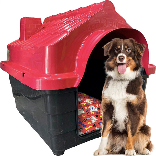 Casinha Plastica Cachorro Numero 5 Cor Vermelho