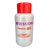  Sessions Shampoo Para Tonos Cobrizos 500ml