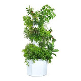 Aerospring Sistema De Cultivo Hidropónico Vertical De 27 Pla