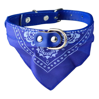 Collar para Perro con Paliacate Azul Grande Paseo Hebilla Diseño Estrellas | Meses sin interés