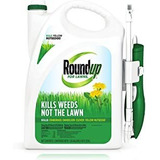 Roundup For Lawns1 Listo Para Usar   Todo En Uno Para Césped