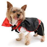 Disfraz Halloween Para Mascotas De Vampiro Petlandiachile