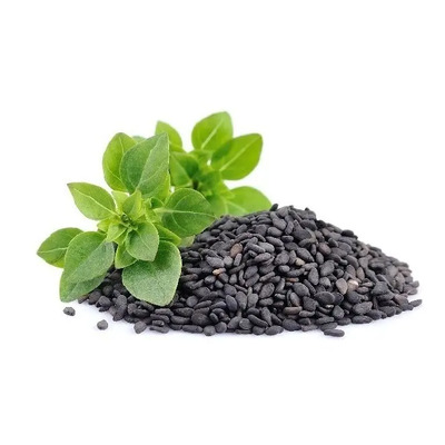 Semillas Albahaca Italiana Hoja Ancha Gourmet Hortaliza 300+ | Meses sin interés