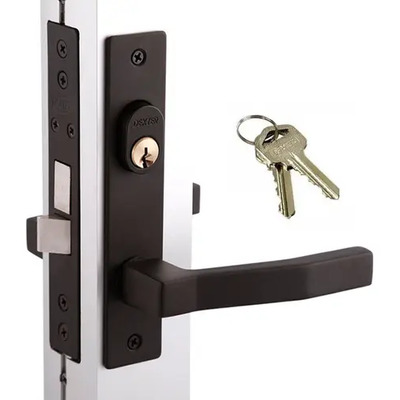 Cerradura Chapa Manija Puerta Perfil Aluminio Embutir Dexter Negro 2008 Serie 100 | Envío gratis