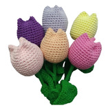 Ramo De Tulipanes Globo En Crochet