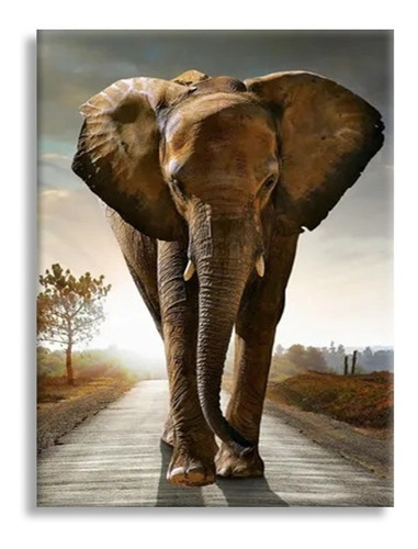 Quadro Decorativo Grande Elefante Africano Gigante Safári