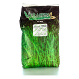 Semilla De Pasto Verasem Toledo 5 Kg 