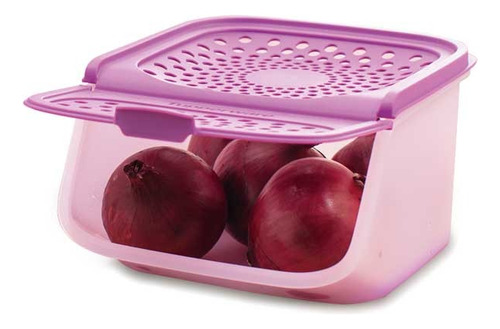 Tupperware Smart Box Pequeño