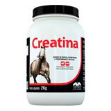 Creatina Vetnil 02kg Suplemento Para Ganhar Musculo Cavalo