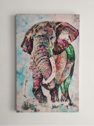 Cuadro Decorativo Elefante Multicolor 