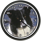 Border Collie Reloj De Pared Perro Perrito Mascota Raza...