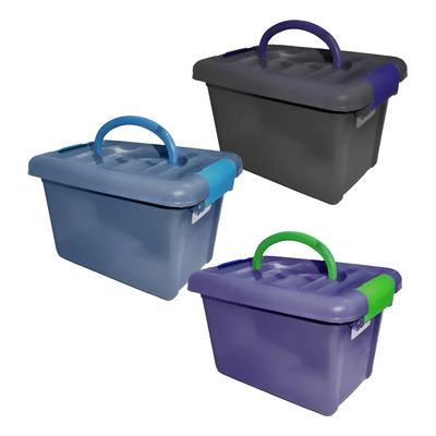 Caja Organizadora De Almacenamiento Plastico Con Tapa Color Multicolor