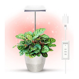  Luz Led Cultivo Crecimiento Plantas Interior 20w 5 Niveles