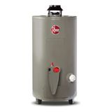 Calentador De Agua Rheem Todo Terreno 48 Litros A Gas Lp