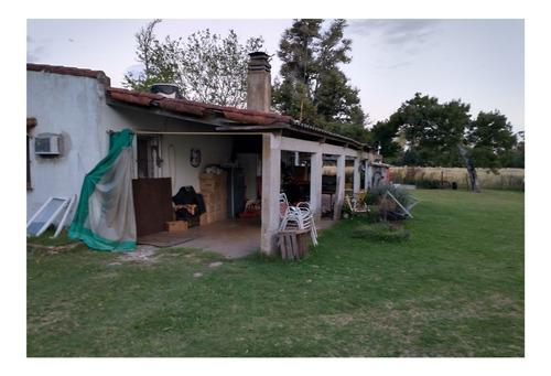 Campo En Venta En Punta Indio - 8 Has Monte-casa - Imagen 3