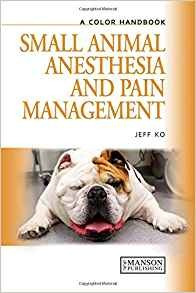 Anestesia En Animales Pequenos Y Manejo Del Dolor Manual De 