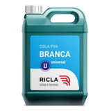 Cola Branca Para Madeira Pva Artesanato Papelão Escolar 5kg