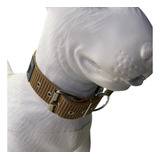Collar Super Resistente 40mm Regulable Mascota Perro K9