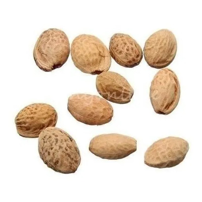 10 Semillas De Sakura (cerezo Japones) Original¡¡ | Envío gratis