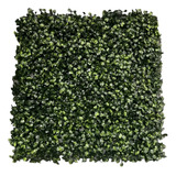 Jardin Vertical Muro Verde Sin Uv 40x60 