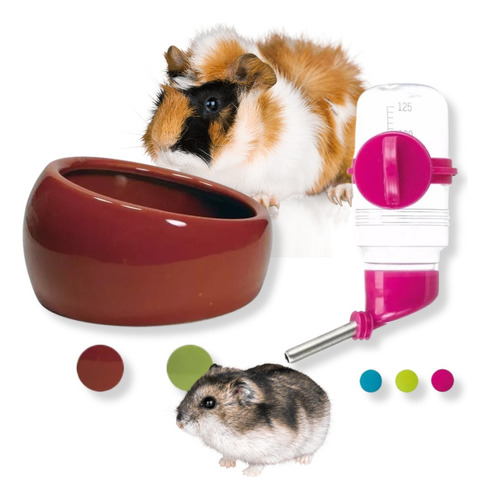 Comedero Bebedero Cobayos Hamster Alimento Ceramica Small