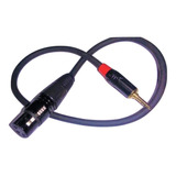 Cable Adaptador Canon A Plug 3,5 St 50 Cm Para Microfono