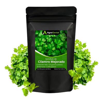 Semillas De Cilantro Precoz Certificado Para Sembrar 125g | MercadoLibre