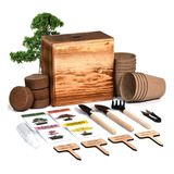 Kit De Arbol Bonsai, 4 Semillas De Arbol Bonsai Con Kit Comp