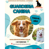 Guardería Vacacional Canina!! Www.serviciocanino.com.ar 