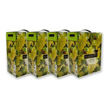 Vino Mastroeni Bag In Box Chardonnay 3 L Pack X4 Unidades