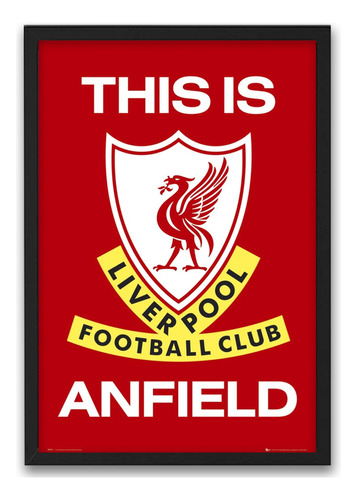 Cuadro Anfield Liverpool Fc 30x23 Marco Madera Vidrio Poster