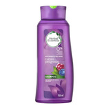 Shampoo Herbal Essences Curvas Peligrosas Cabello Rizado