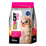 Br For Cat Gatitos Pollo X 3 Kg