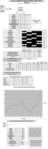 Test Wisc 3 Wisc 4 Wisc R Versiones Basicas Automatizados