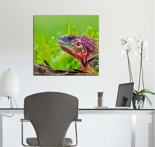 Cuadro 30x30cm Iguana Animales Reptil Psicodelico