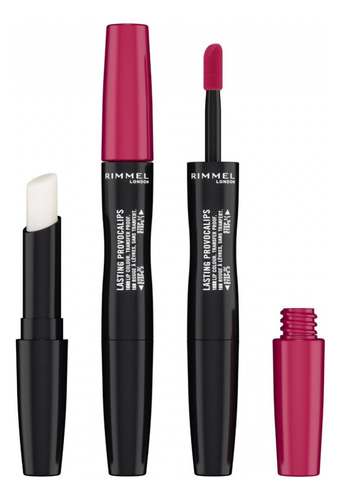 Rimmel Labial Lasting Provocalips 310 Pouting Lips 