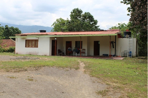 Finca Vereda Lagunas - La Mesa